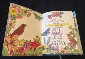 Coloring Bible Mark Chauvin